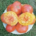 tomaat-ananas.webp
