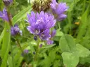 image_1024