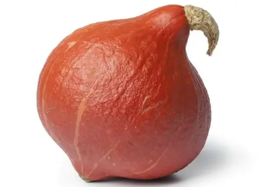 Pompoen Red Kuri