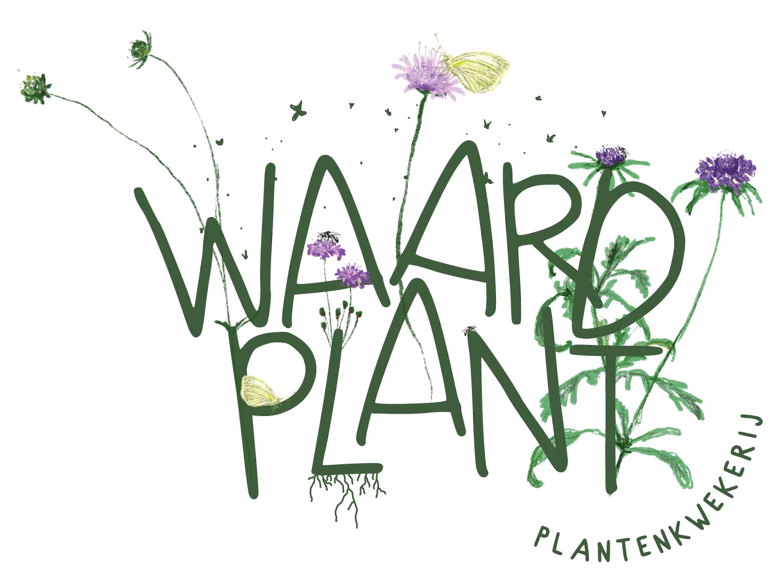 Waardplant